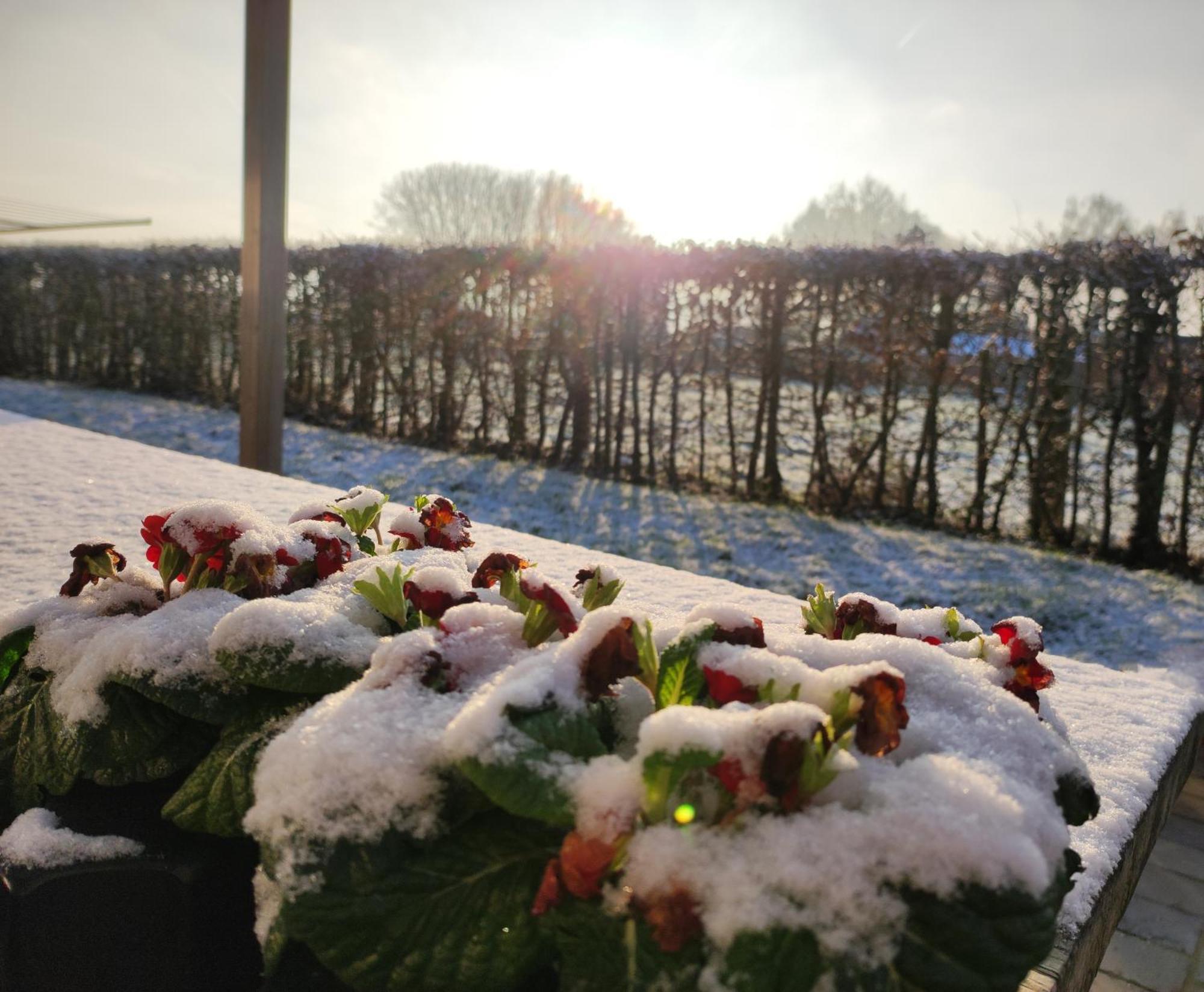 Cote Campagne Bed & Breakfast Houthem Exterior foto